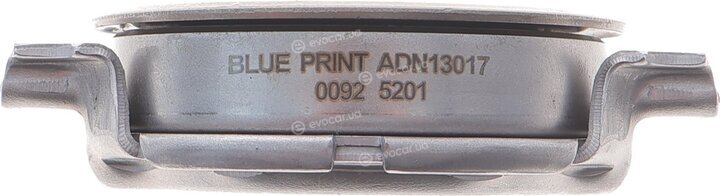 Blue Print ADN13017