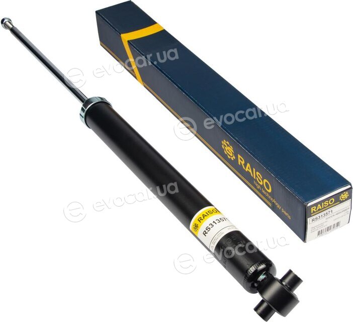 Raiso RS313571