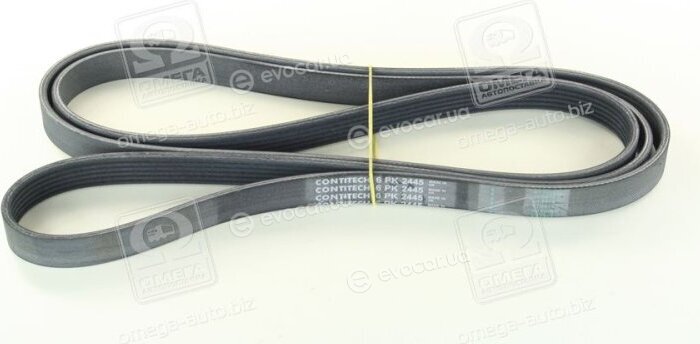 Continental 6PK2445