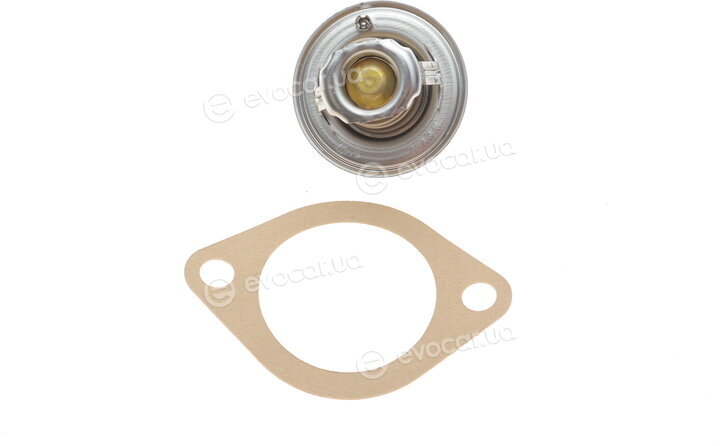 Mahle TX 4 87D