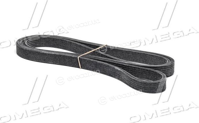Dayco 6DPK2217