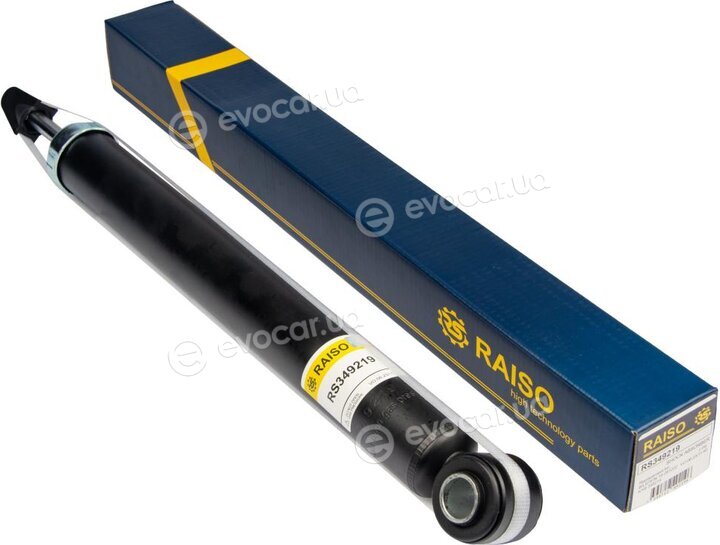 Raiso RS349219