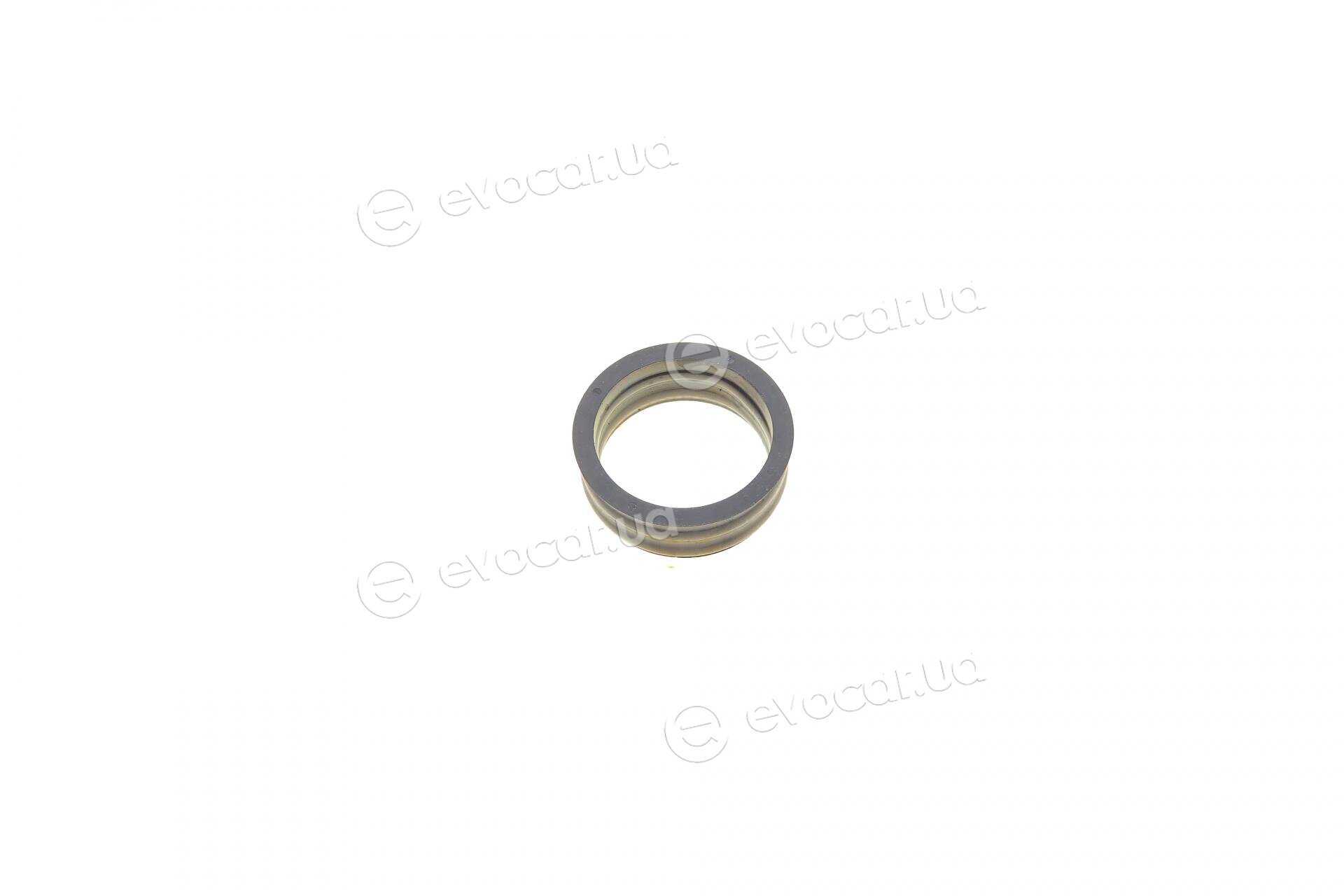 Elring 685.350