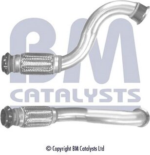 BM Catalysts BM50295