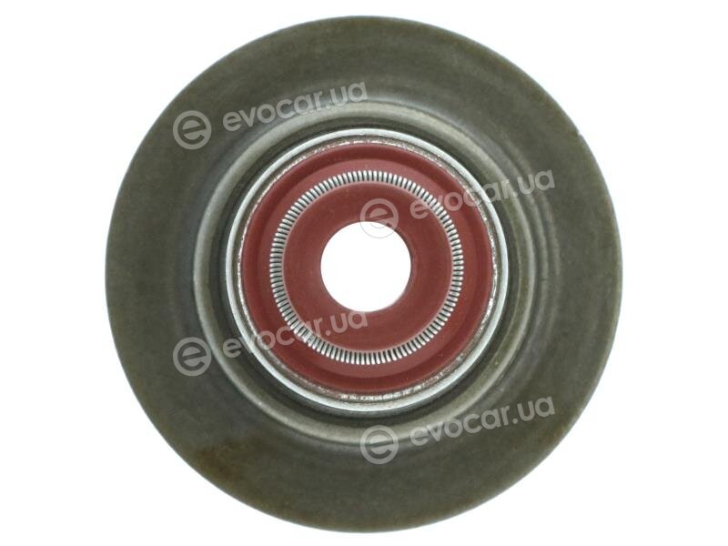 Starline GA 6517