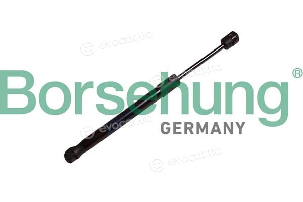 Borsehung B12479