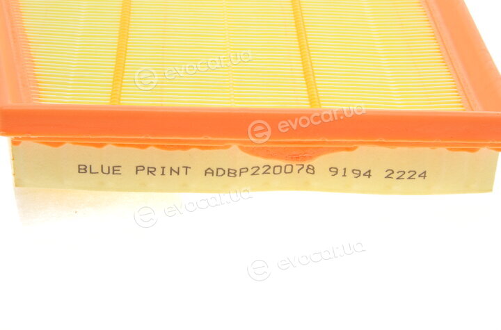Blue Print ADBP220078