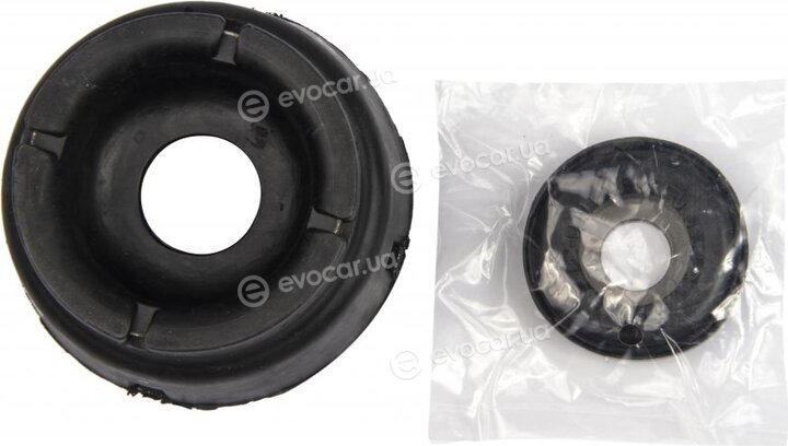 Raiso RC02270