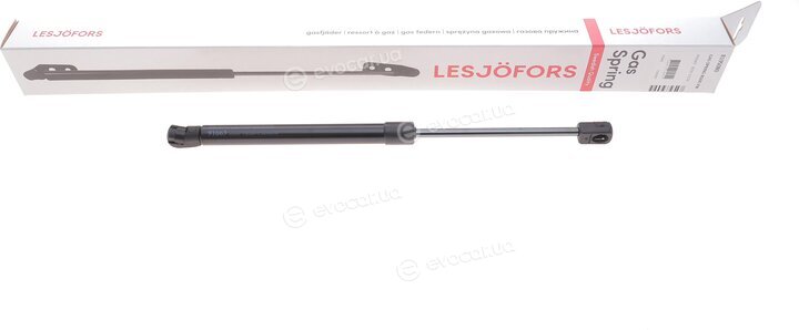 Lesjofors 8195080