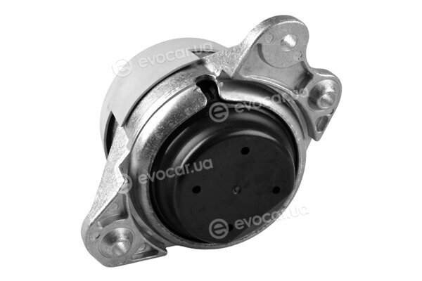 Tedgum TED46349