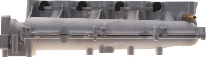 Solgy 114291