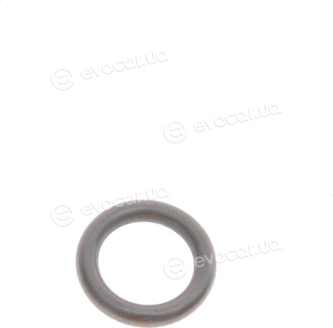 Elring 506.520