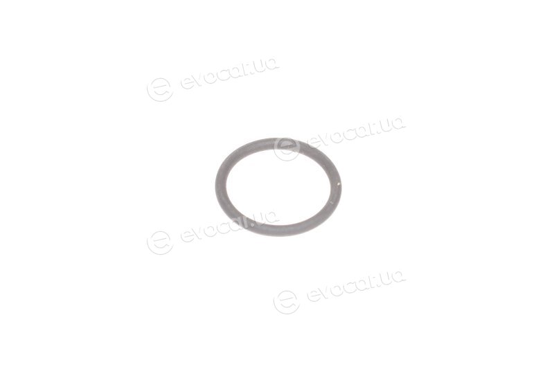 Elring 476.750