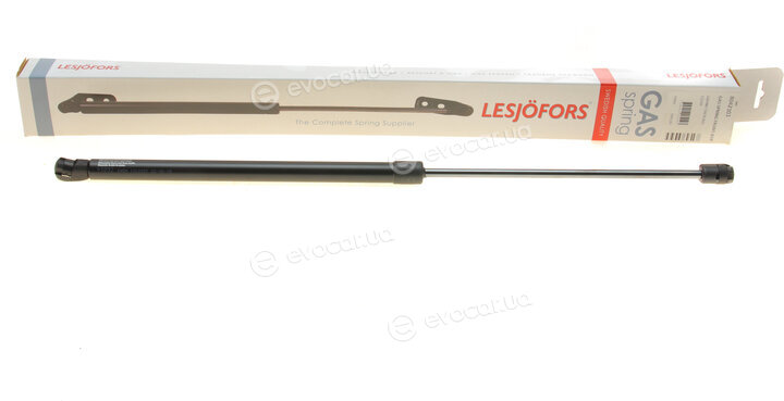 Lesjofors 8042103