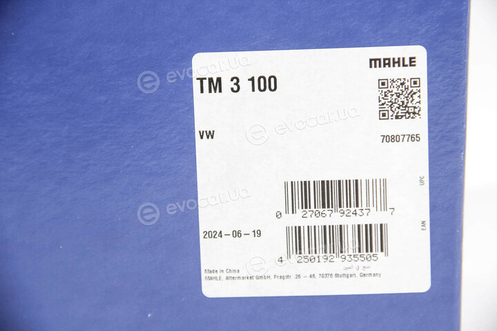 Mahle TM 3 100