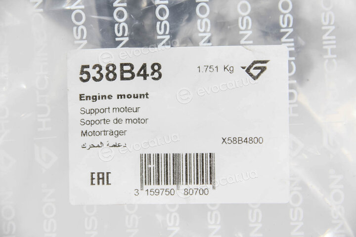 Hutchinson 538B48