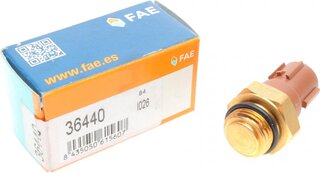 FAE 36440