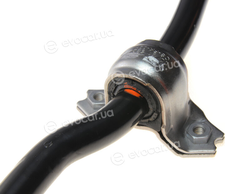 Borsehung B12629