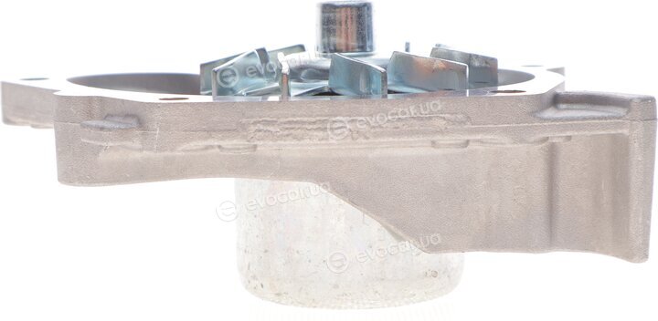 Continental CT1130WP2