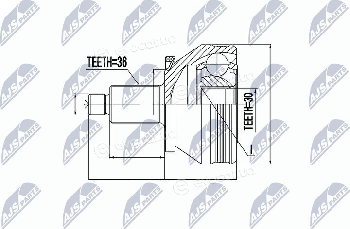 NTY NPZ-SK-005