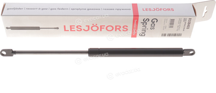 Lesjofors 8108403