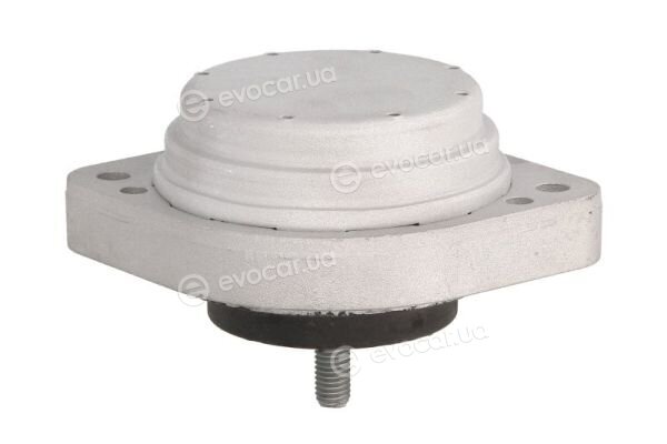 Reinhoch RH11-3062