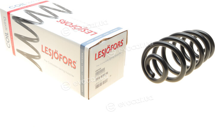 Lesjofors 4282929