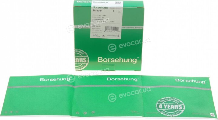 Borsehung B19041