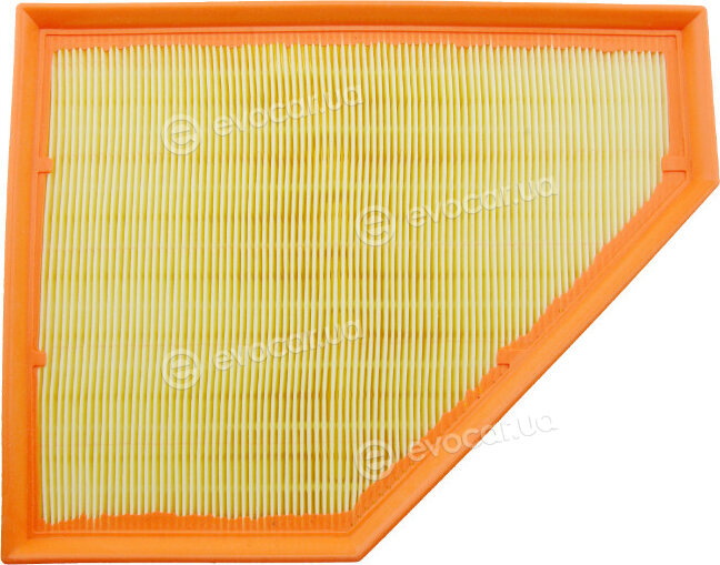 NTY FAFBM021