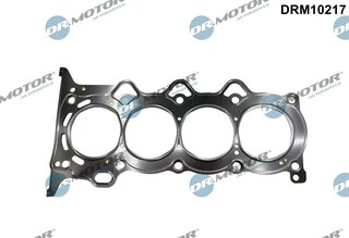 Dr. Motor DRM10217