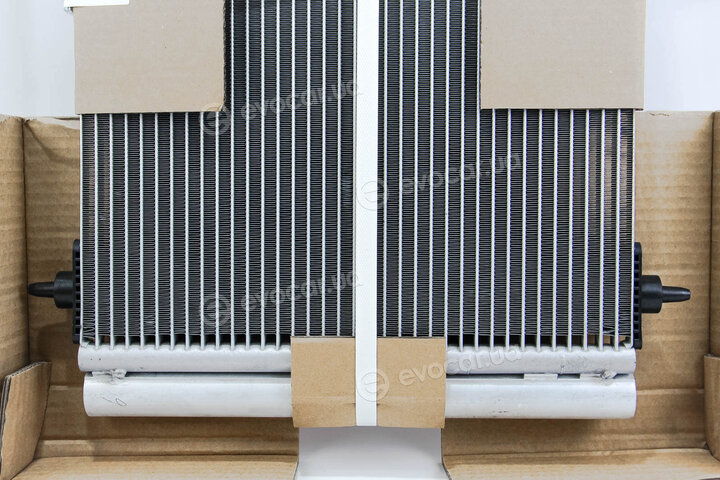 Mahle AC 667 000S