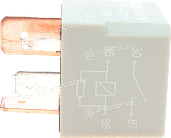 Borsehung B17804