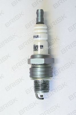 Brisk 0031