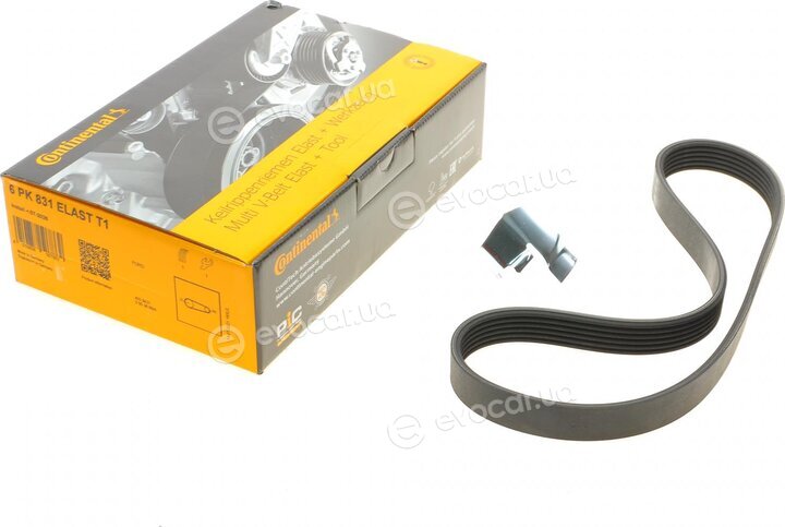 Continental 6PK831 ELAST T1