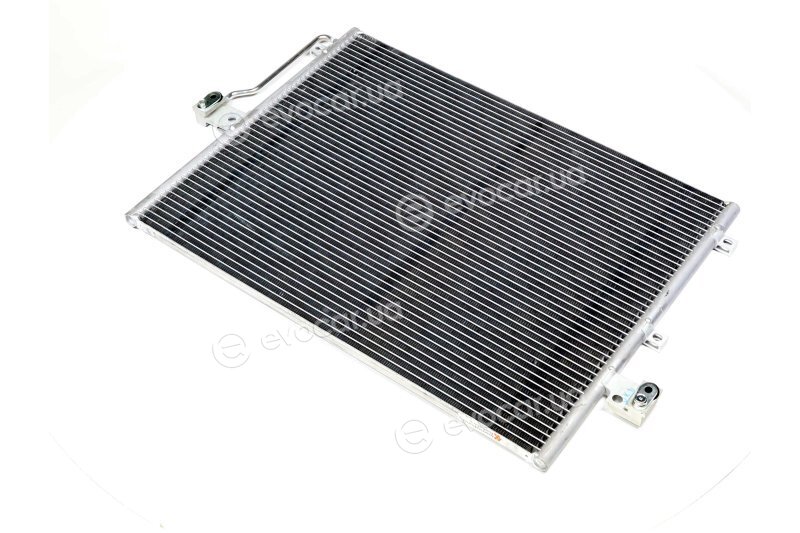 Van Wezel 81005082