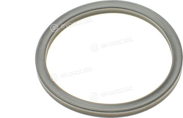 Elring 527.660