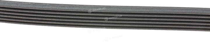 Continental 6PK2125