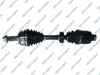 GSP 223189