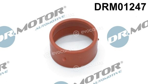 Dr. Motor DRM01247