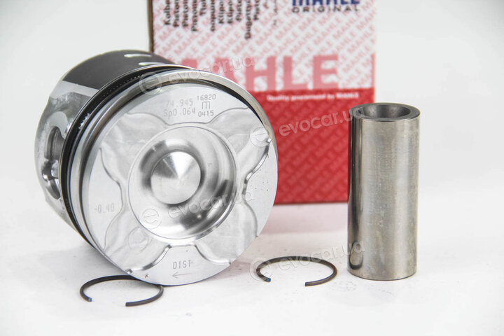 Mahle 040 06 30