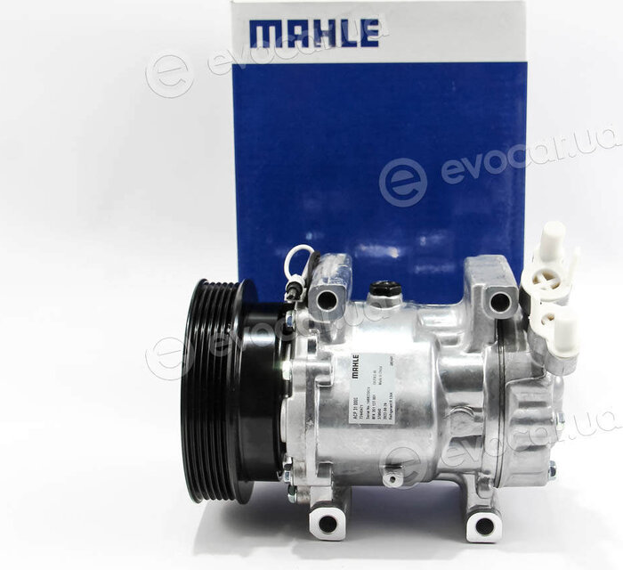 Mahle ACP 31 000S