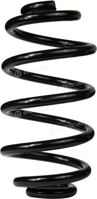 Raiso SR065TP