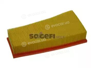 Coopers Fiaam PA7317