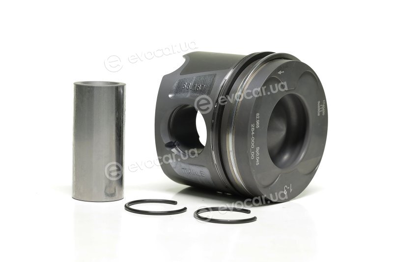 Mahle 001 PI 00106 000
