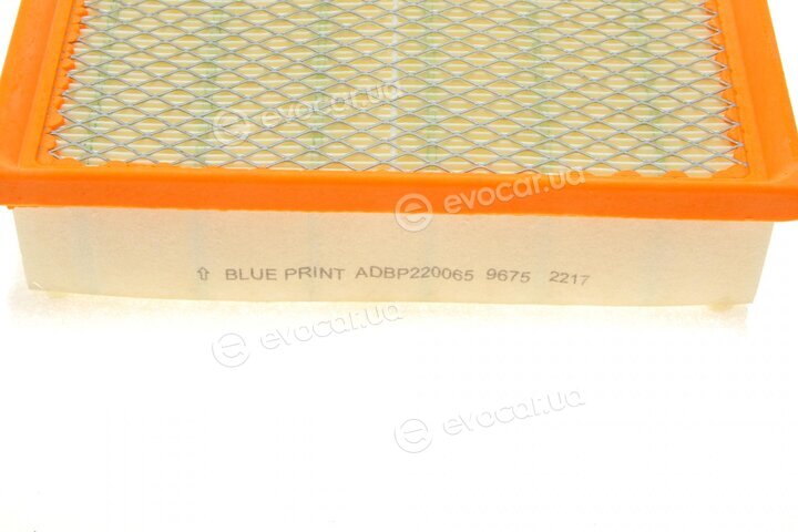 Blue Print ADBP220065