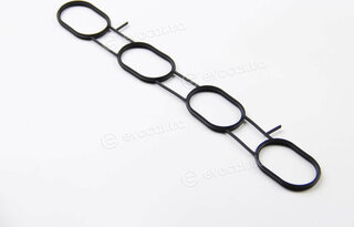 BGA MG4794