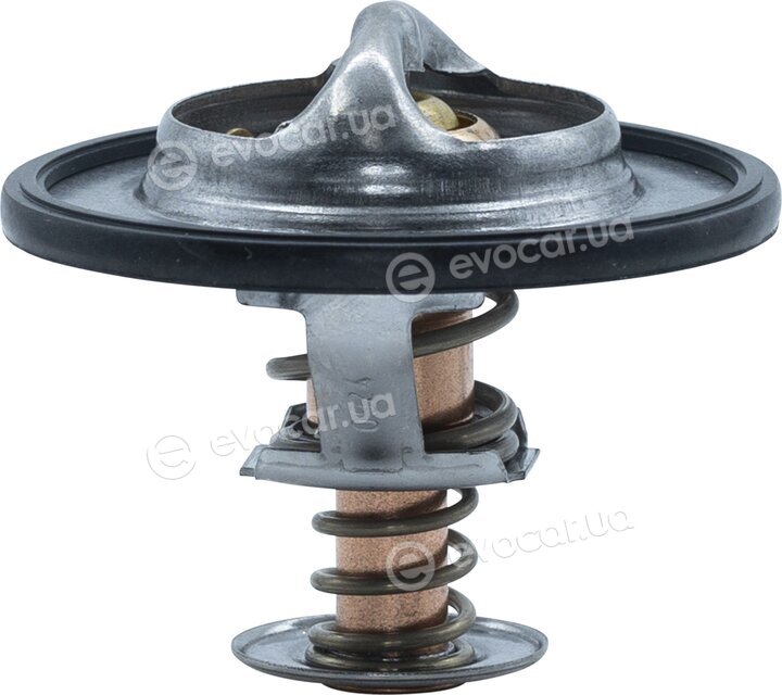 Motorad 665-85K