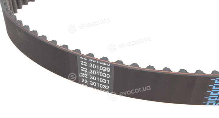 Dayco KTB817