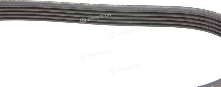 Continental 5PK1515K1