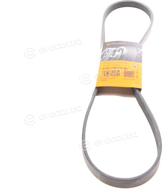 Continental 5PK1166 EXTRA